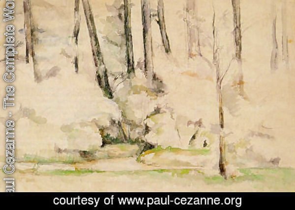Paul Cezanne - Into The Woods