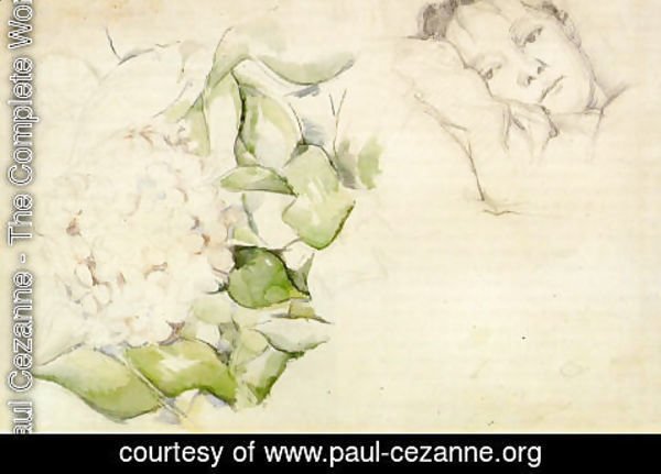 Paul Cezanne - Madame Cezanne (Hortense Fiquet) With Hortensias