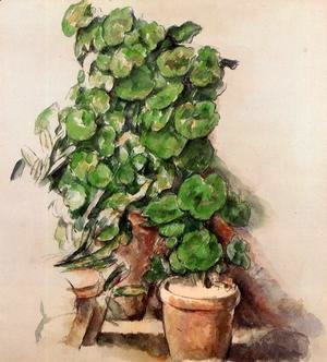 Paul Cezanne - Pots Of Geraniums