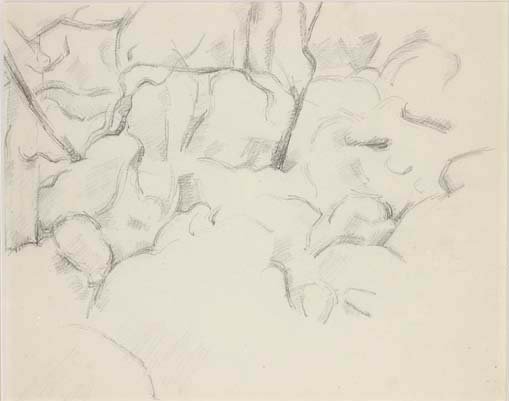 Paysage aux rochers et arbres