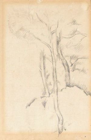 Paul Cezanne - L'Arbre