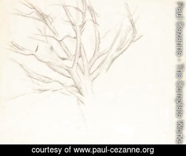 Paul Cezanne - Arbre denude