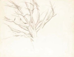 Paul Cezanne - Arbre denude