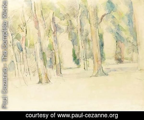 Paul Cezanne - Sous-bois aux grands troncs