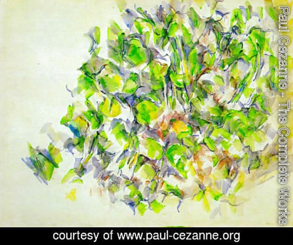 Paul Cezanne - Foliage
